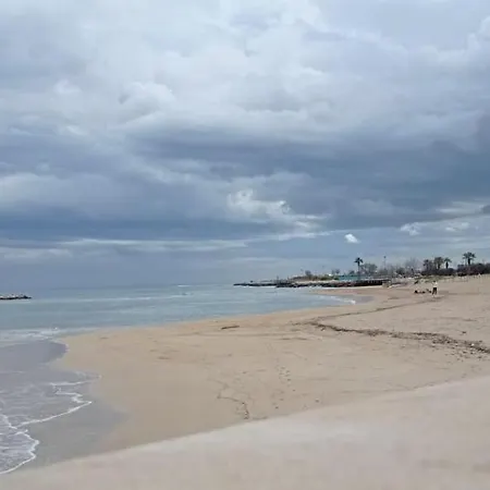 Marea 51 *