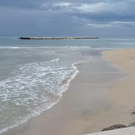 Marea 51 Bari